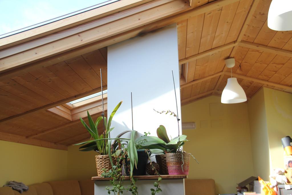Hostel Curavacas Triollo Ngoại thất bức ảnh
